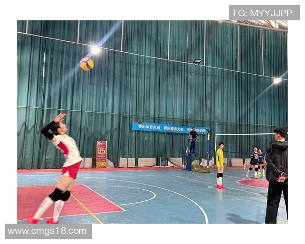 成都排球队的默契配合与战术分析探讨排球运动的魅力与团队精神